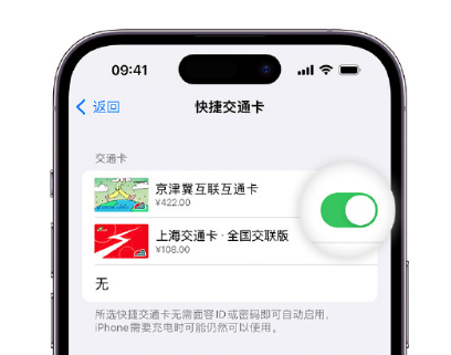 永新apple维修点分享iPhone上更换Apple Pay快捷交通卡手绘卡面 