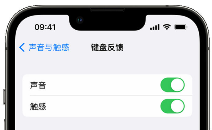 永新苹果手机维修分享iPhone 14触感键盘使用方法 