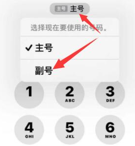 永新苹果14维修店分享iPhone 14 Pro Max使用副卡打电话的方法 