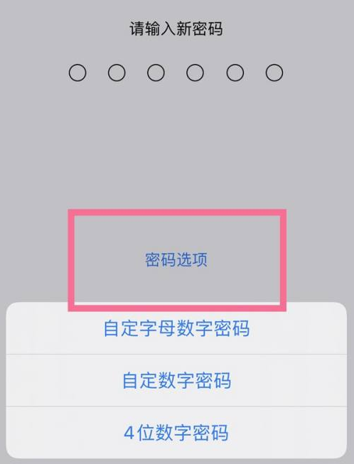 永新苹果14维修分享iPhone 14plus设置密码的方法 