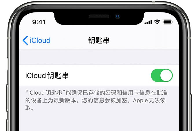 永新苹果手机维修分享在 iPhone 上开启 iCloud 钥匙串之后会储存哪些信息 