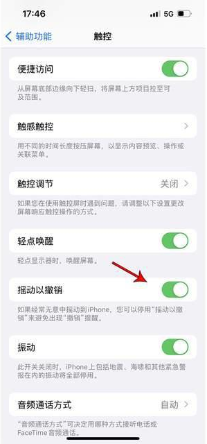 永新苹果手机维修分享iPhone手机如何设置摇一摇删除文字 